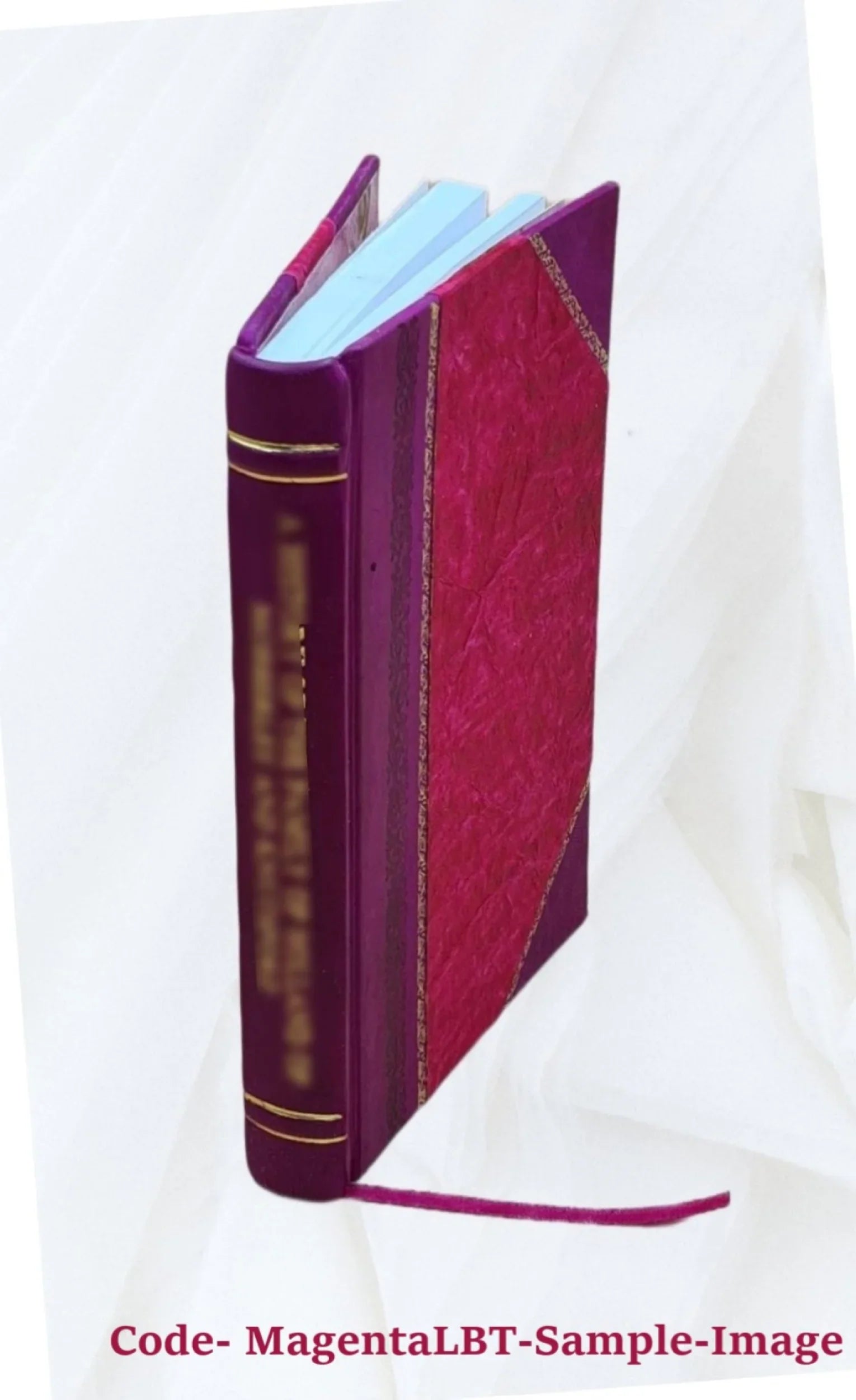 Attik?s kai t?n en aut? archai?n mn?mei?n vracheia archaiologik? perigraph? ... 1876 [Leather Bound] - Exclusive Design