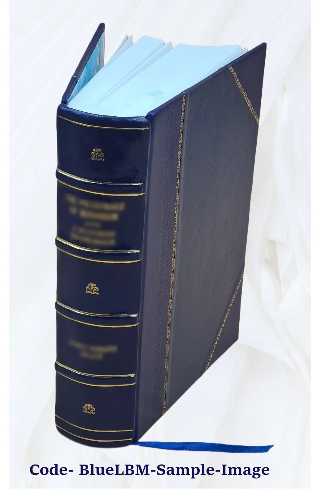 History of Newton, Massachusetts : town and city, from its earliest settlement to the present time, 1630-1880 1880 [Leather Bound] - Exclusive Design