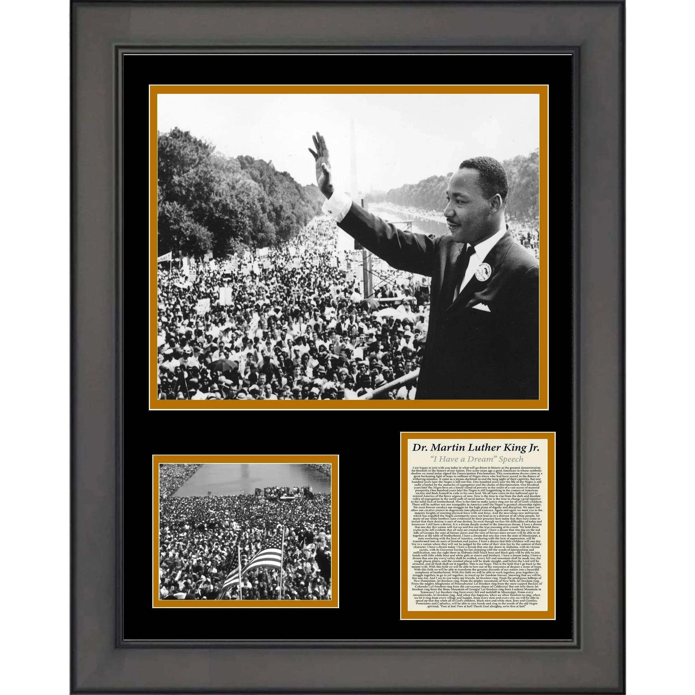 Framed Dr. Martin Luther King Jr. I Have a Dream Speech 12x15 Photo Collage