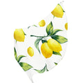 FREEAMG Lemon Silk Long Scarf for Women Large Oblong Sunscreen Shawls Wraps Neck Headscarf Hair Wraps Gift Packed