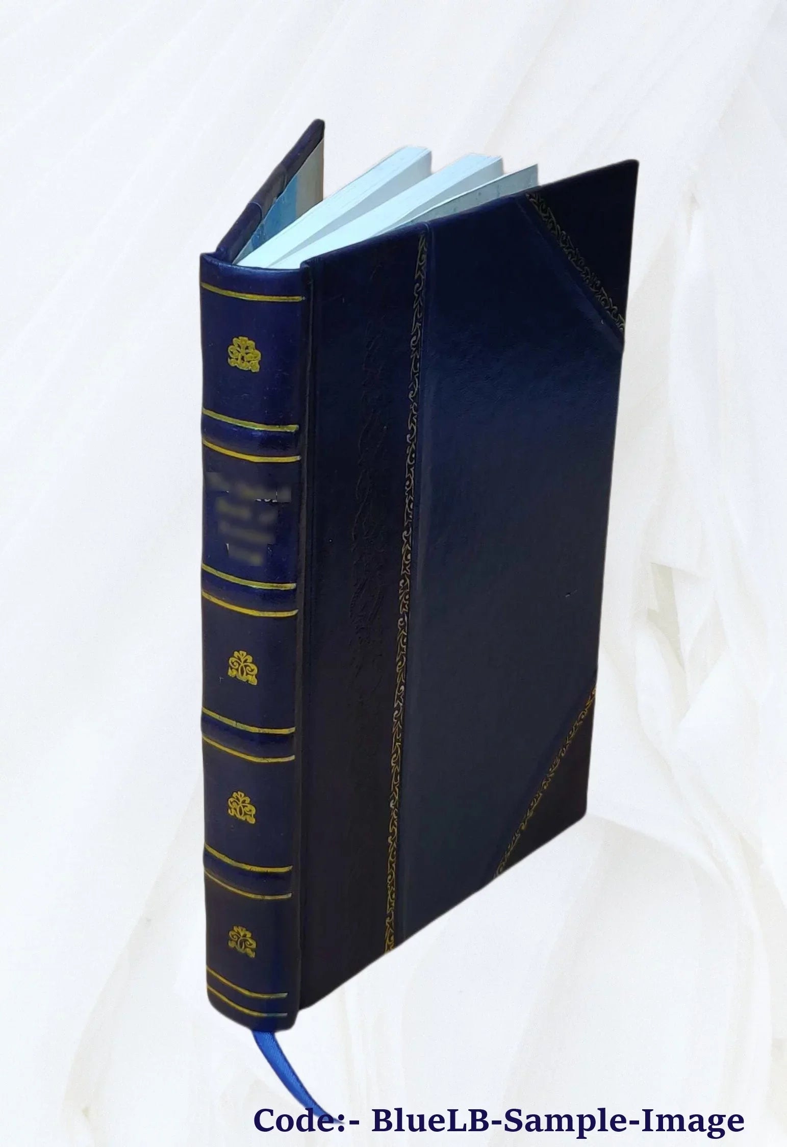 Squire Silchester's whim Volume 2 1873 [Leather Bound] - Exclusive Design