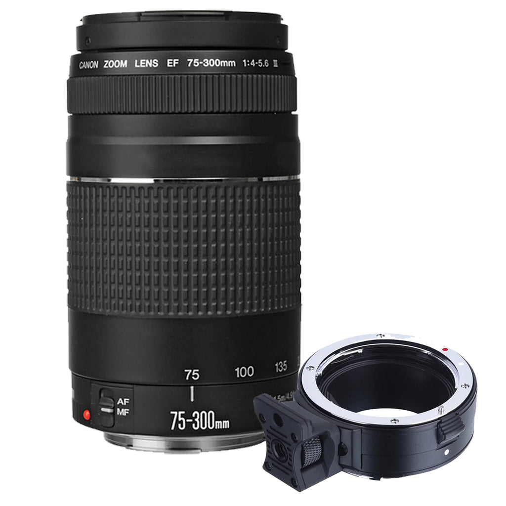 Stylish Canon EOS R6 Mirrorless Digital Camera W/ 24-105mm f/4-7.1 Lens+75-300mm F/4-5.6 III Lens+128GB Memory+Case+Filters+Tripod(26pc Bundle)