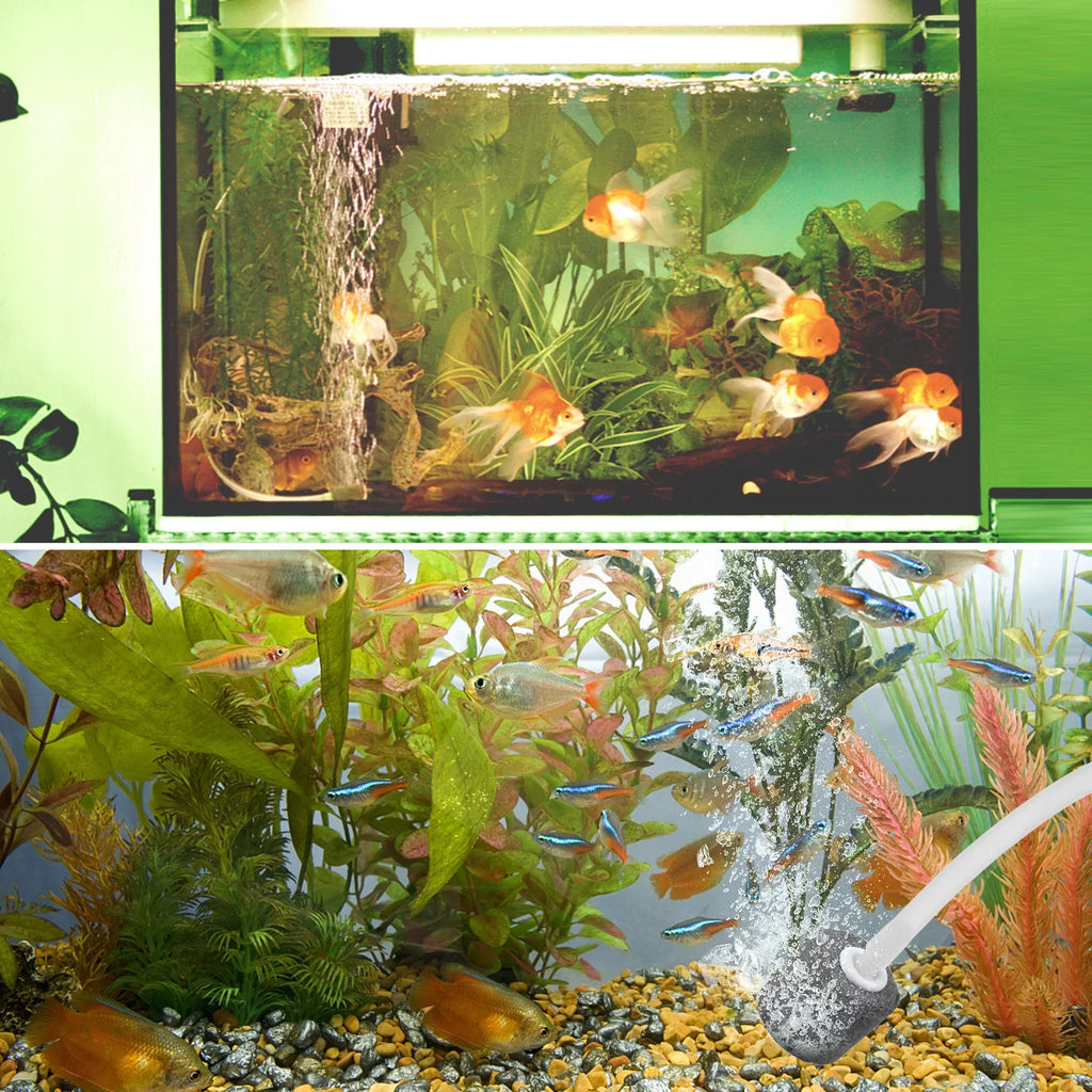 moobody 5.5V 1.5W Solar Air Pump Fish Tank Oxygenator with Aquarium Pipe & Air Bubble Stone Pond Oxygen Pump Aerator Rechargeable for Fishing Fish Tranportation Small Ponds Pools Water Circulation
