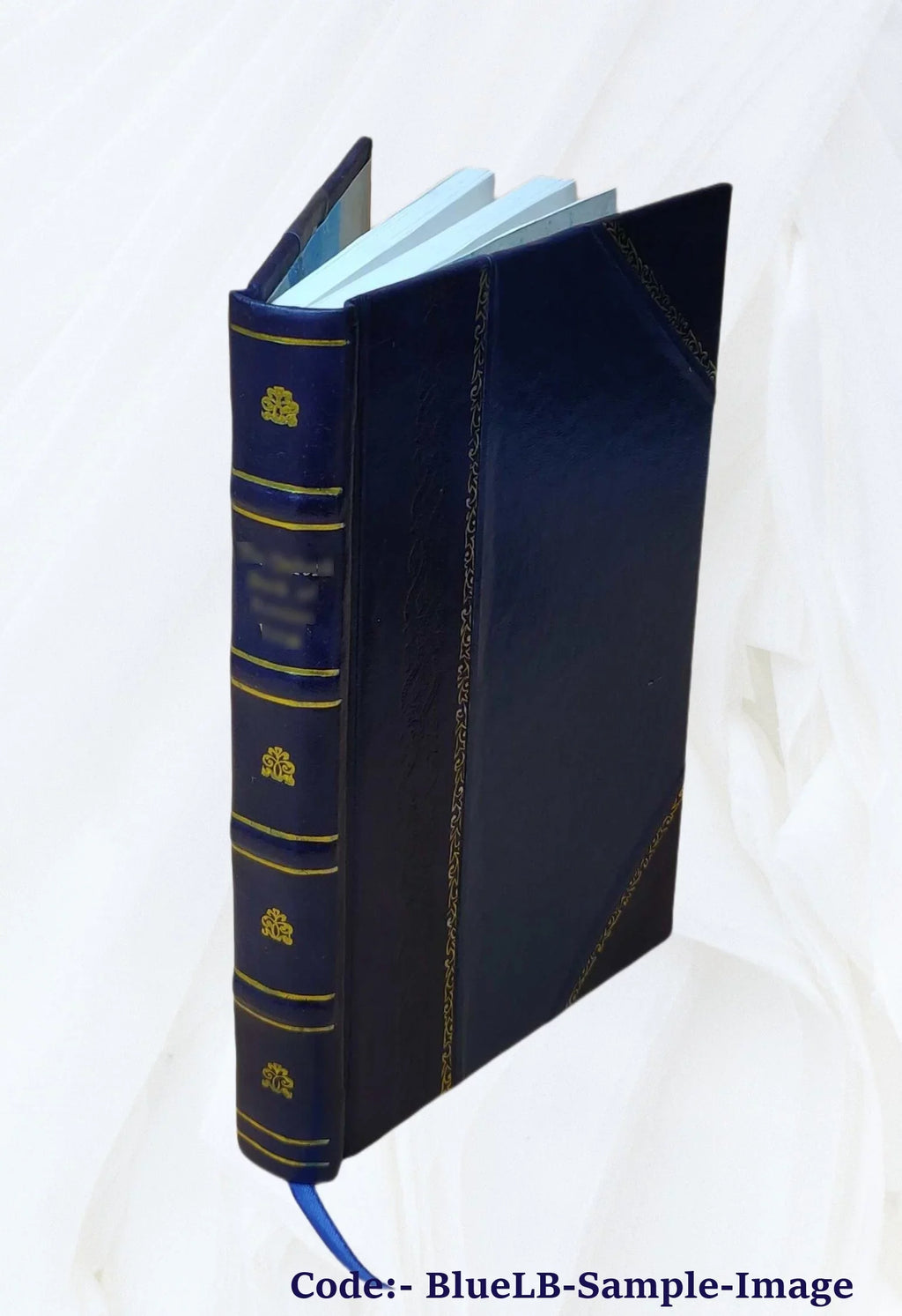 Stylish Karla HavlÃ­Äka BorovskÃ©ho politickÃ© spisy 1901 [Leather Bound]