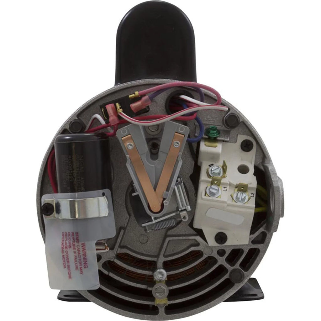 Century A.O. Smith 56Y Thru-Bolt 4.0 or 0.50 Waterway Replacement Pump Motor, 12.0/4.4A 230V B2235 - Exclusive Design