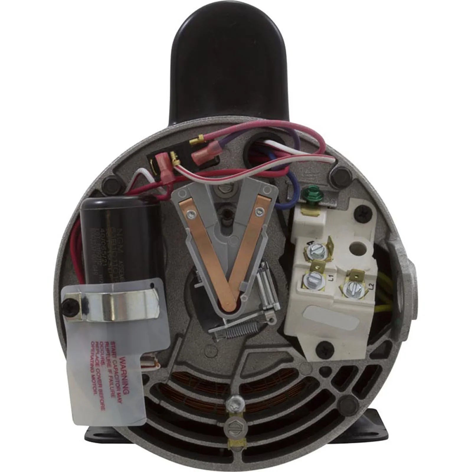 Century A.O. Smith 56Y Thru-Bolt 4.0 or 0.50 Waterway Replacement Pump Motor, 12.0/4.4A 230V B2235 - Exclusive Design