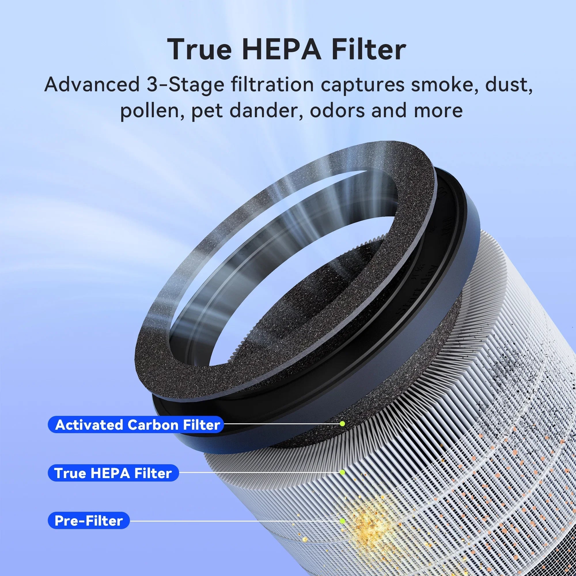 Membrane Solutions MSB5 Air Purifier for Allergies and Asthma, H13 True HEPA Filter, LED Light, Black - Exclusive Design