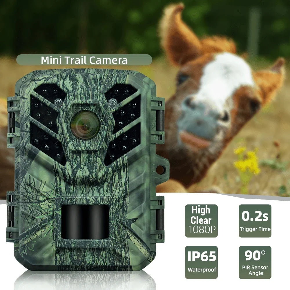 Stylish Pristin Camera,Weatherproof 0.2S Speed IP65 Weatherproof 0.2S Months Standby IP65 Camera Motion Small Camera Portable Animal/Plant Outdoor Use 6 Vision Camera Motion Speed Camera Portable