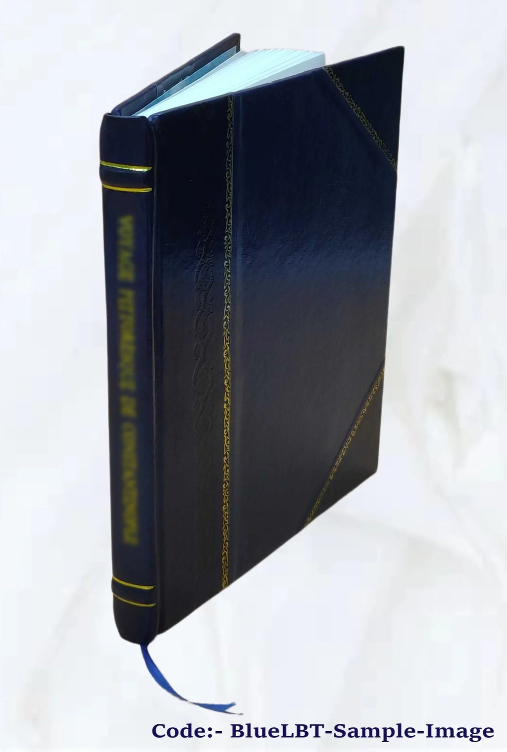 La Casa del Greco : cuarenta y ocho ilustraciones con texto de Rafael DomeÌnech 1914 [Leather Bound] - Exclusive Design