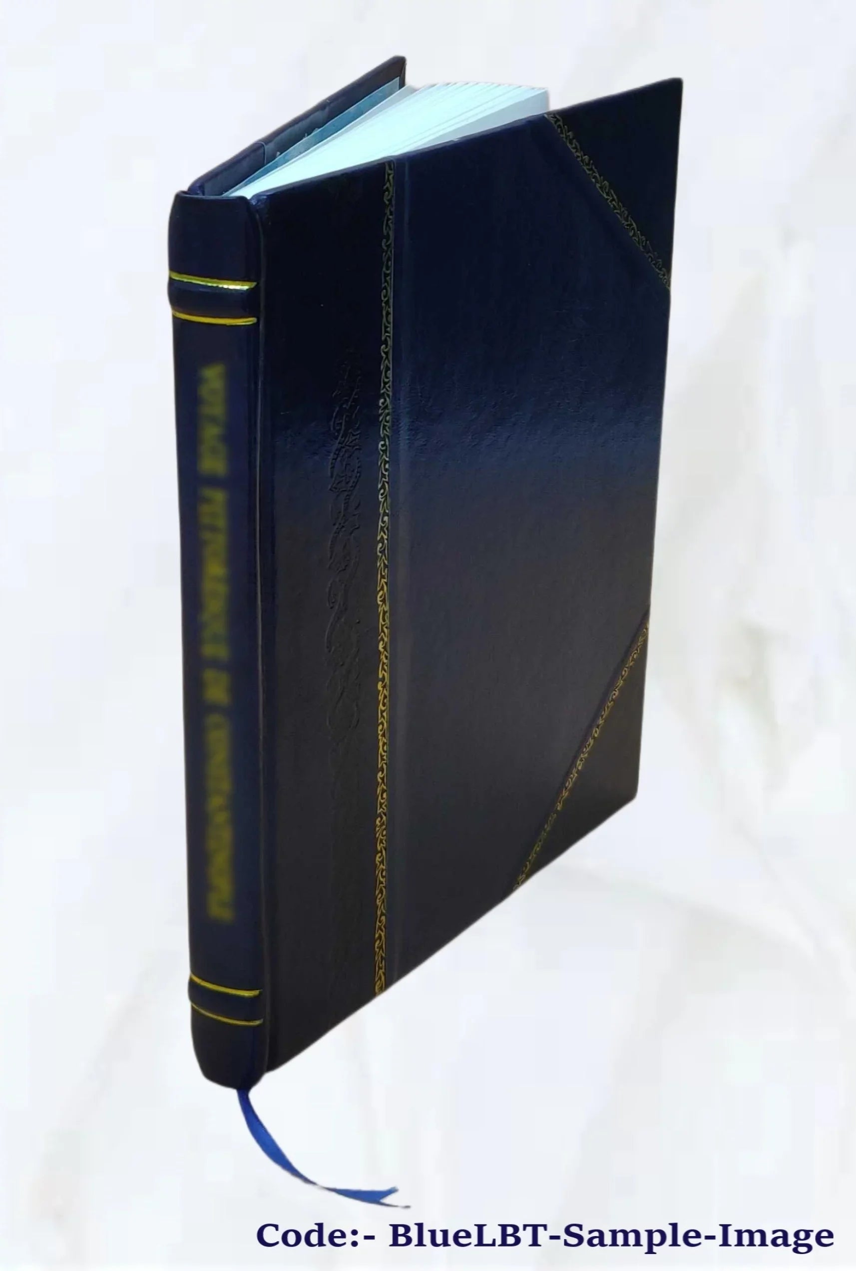 La Casa del Greco : cuarenta y ocho ilustraciones con texto de Rafael DomeÌnech 1914 [Leather Bound] - Exclusive Design