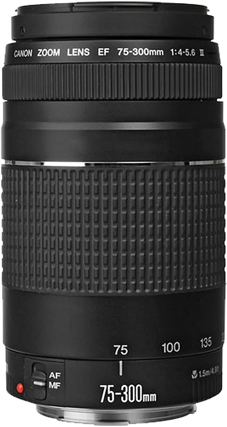 Canon EOS R6 Mirrorless Digital Camera with RF 24-105mm f/4-7.1 STM Lens + 75-300mm F/4-5.6 III Lens + 50mm f/1.8 STM Lens + 128GB Memory + Case + Tripod + Filters 43pc Bundle - Exclusive Design