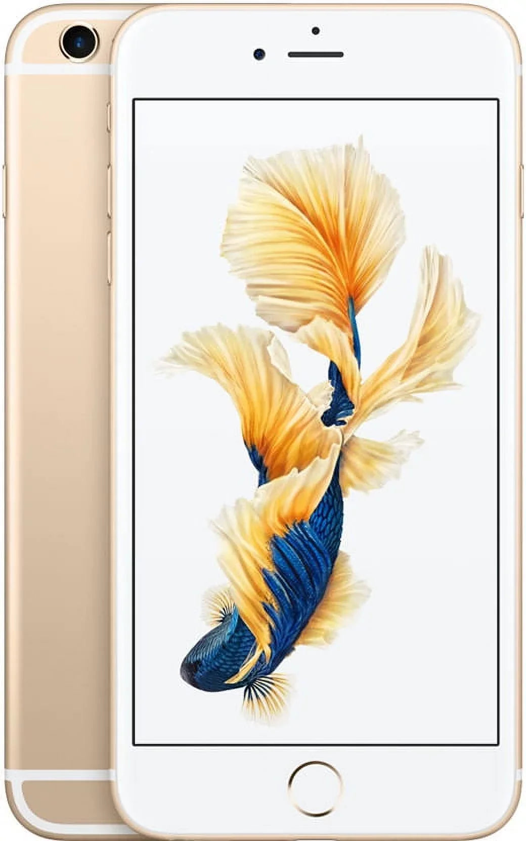 Stylish Pre-Owned Apple iPhone 6S Plus - Carrier Unlocked - 16GB Gold (Good)