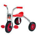 Stylish Childrenâs Factory SilverRiderÂ® 10" Trike