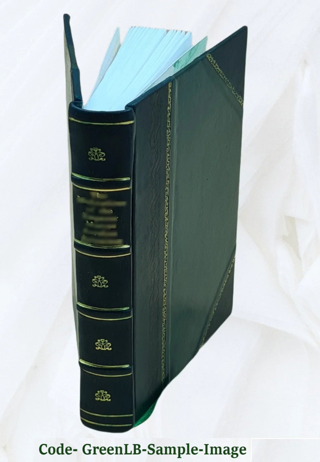 Stylish ReÌpertoire d'optiquemoderne, ou analyse compleÌte des travaux modernes relatifs aux pheÌnomeÌnes de la lumieÌre Volume 3 1847 [Leather Bound]